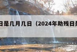 助残日是几月几日（2024年助残日是几月几日）