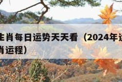 十二生肖每日运势天天看（2024年运程十二生肖运程）